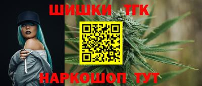 индика Рузаевка