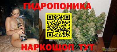 Альфа ПВП Пыть-Ях