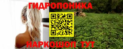 бошки Пугачёв