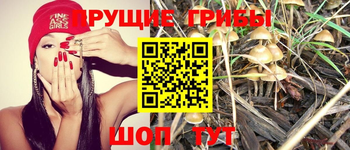 Псилоцибиновые грибы ЛСД  Вход с VPN  продажа наркотиков  Рославль 