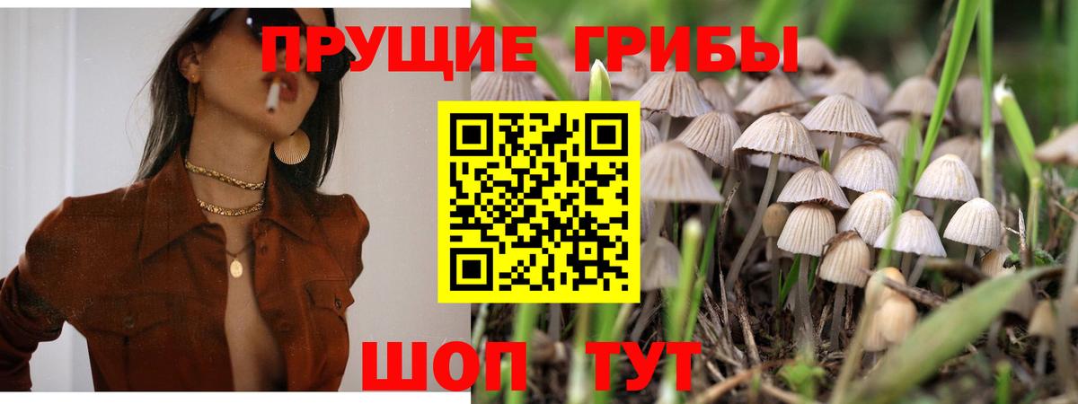 Псилоцибиновые грибы мухоморы Рославль